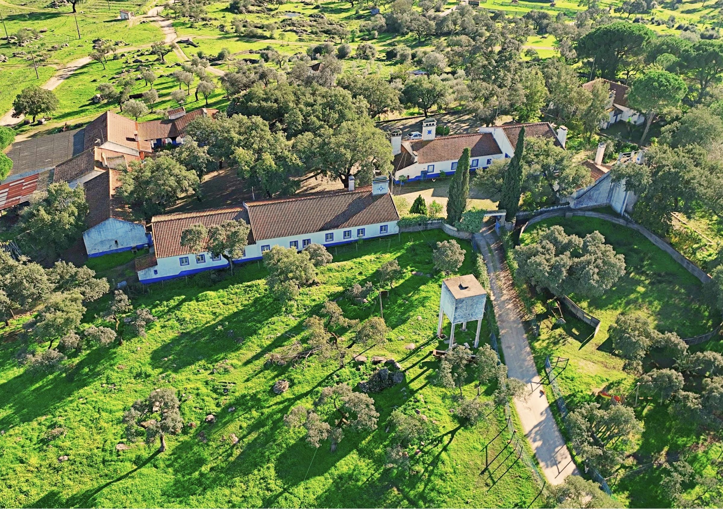 Vista aérea dos edifícios caiados do Neos Center, com telhados de terracota, rodeados de sobreiros e pastagem verde