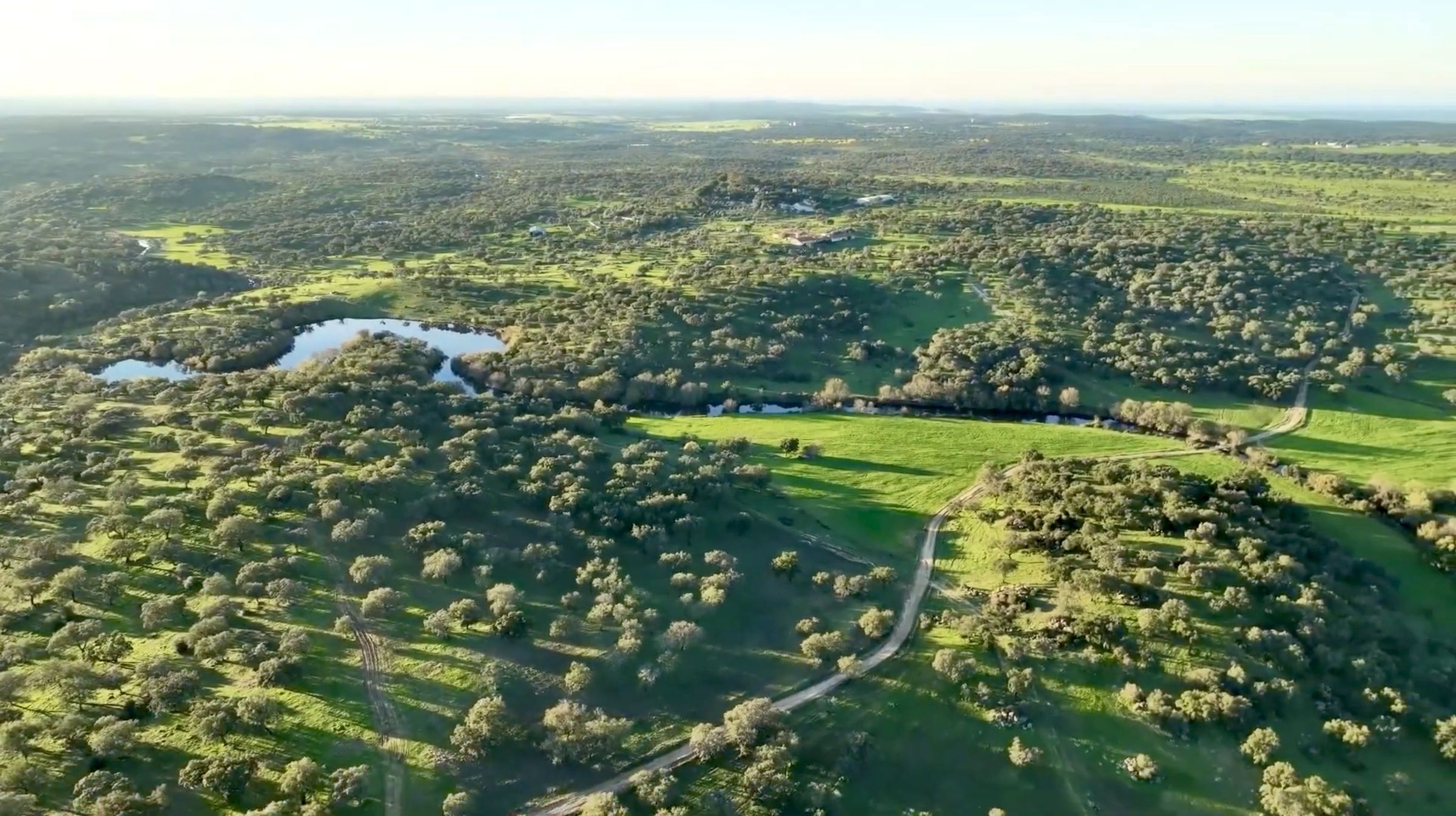 Vista aérea da herdade da Neos: um lago e um rio entre pastagens verdes e montado de sobreiros, com edifícios ao longe