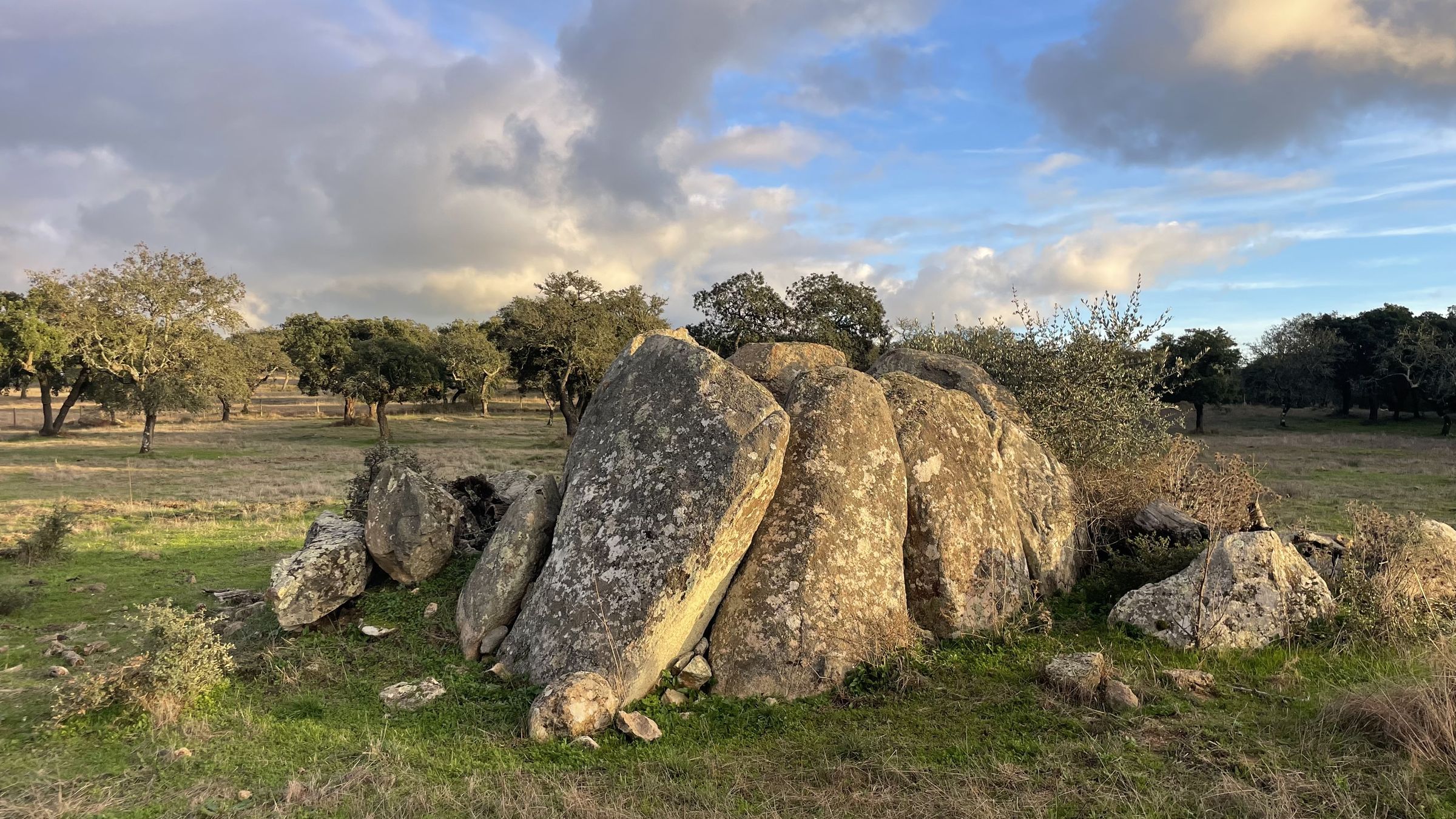 Grandes blocos de granito erguidos num campo verde entre sobreiros, sob um céu nublado