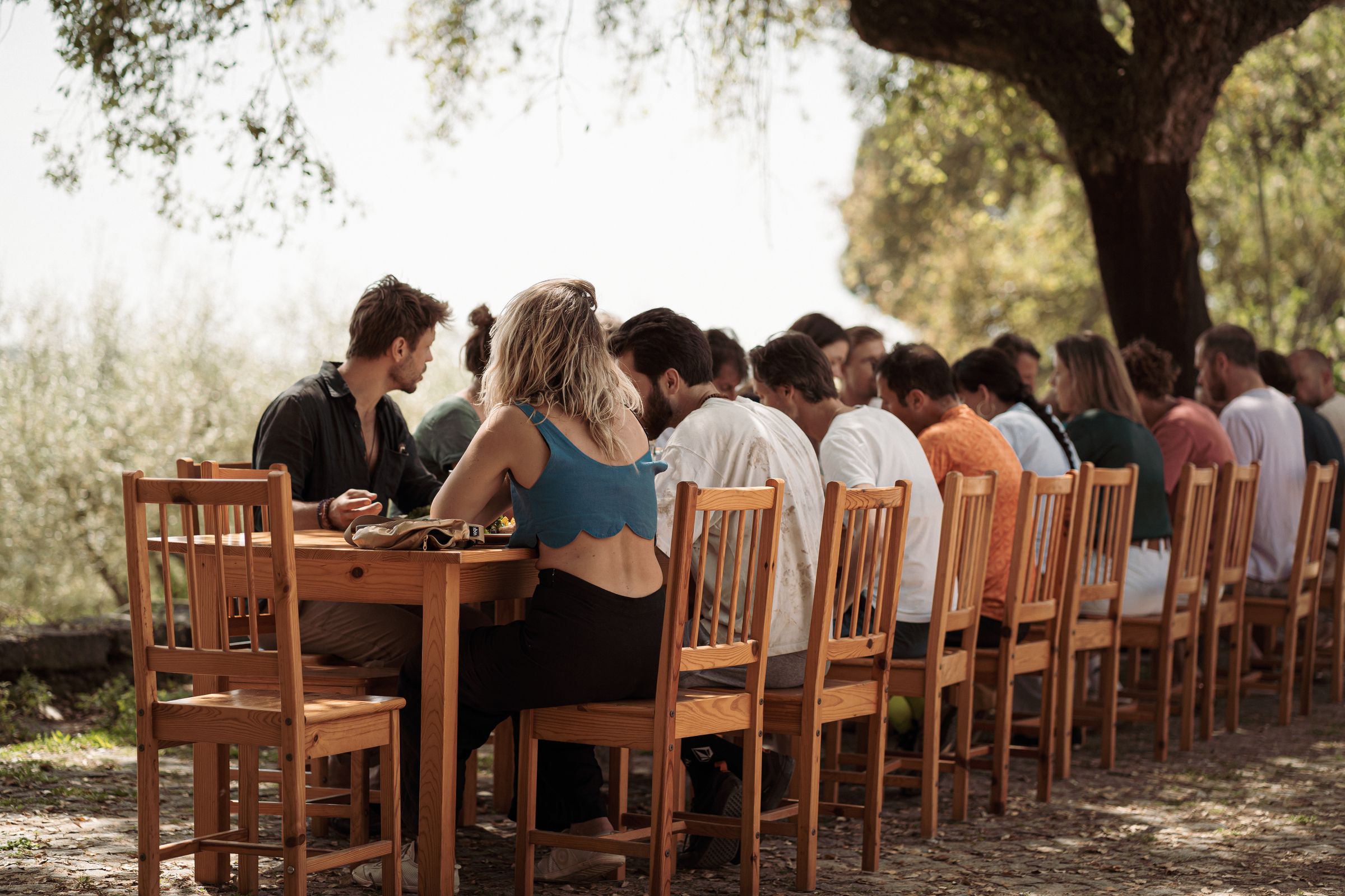 Uma longa fila de participantes de um retiro a comer juntos em mesas de madeira debaixo de um sobreiro