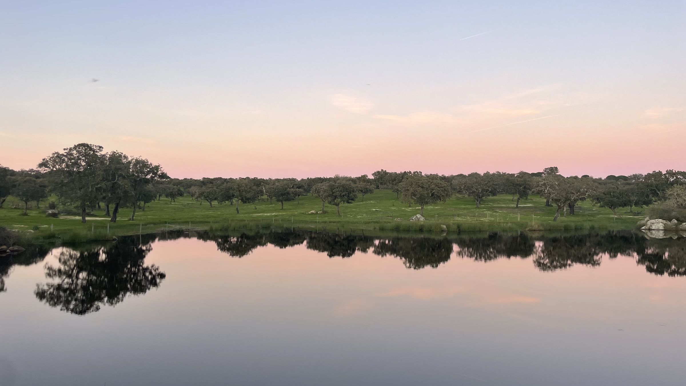 Um lago tranquilo que reflete o céu rosa e azul do anoitecer, com sobreiros na margem oposta