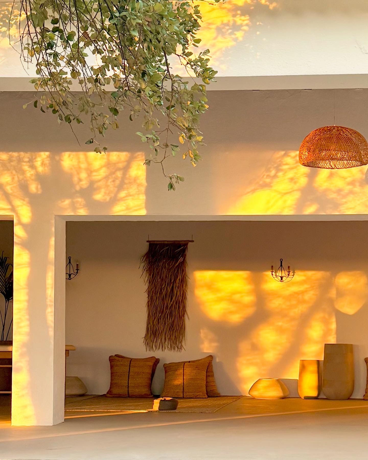 Luz dourada do fim de tarde e sombras de folhas nas paredes brancas da shala aberta