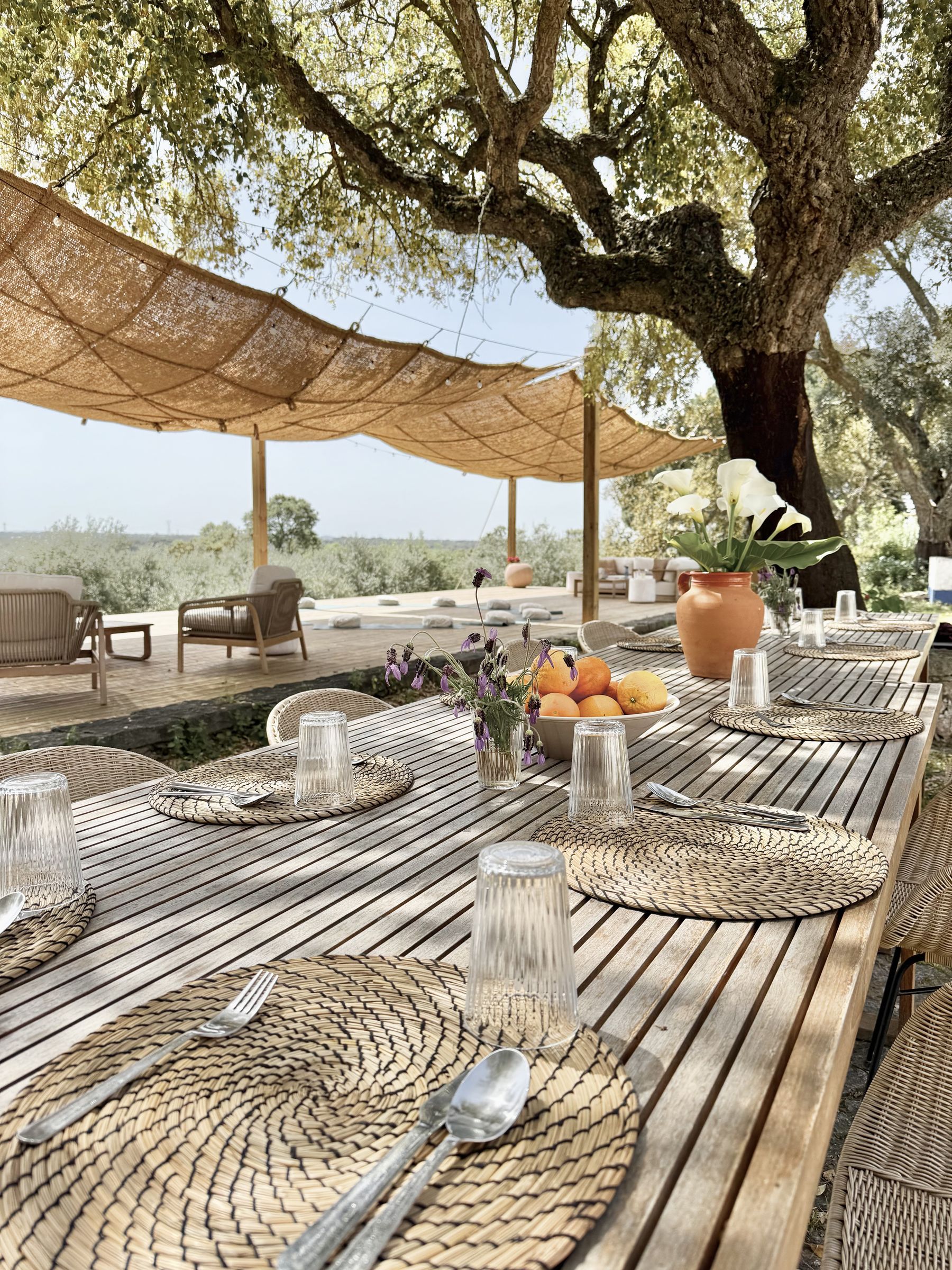 Uma mesa de madeira posta com individuais entrançados e fruta, sob um toldo e um sobreiro