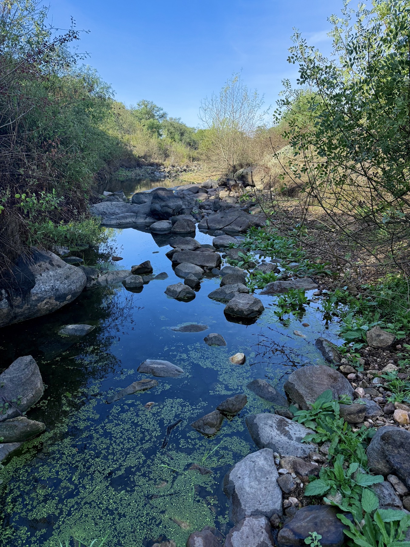 Rock pools along the river at Neos