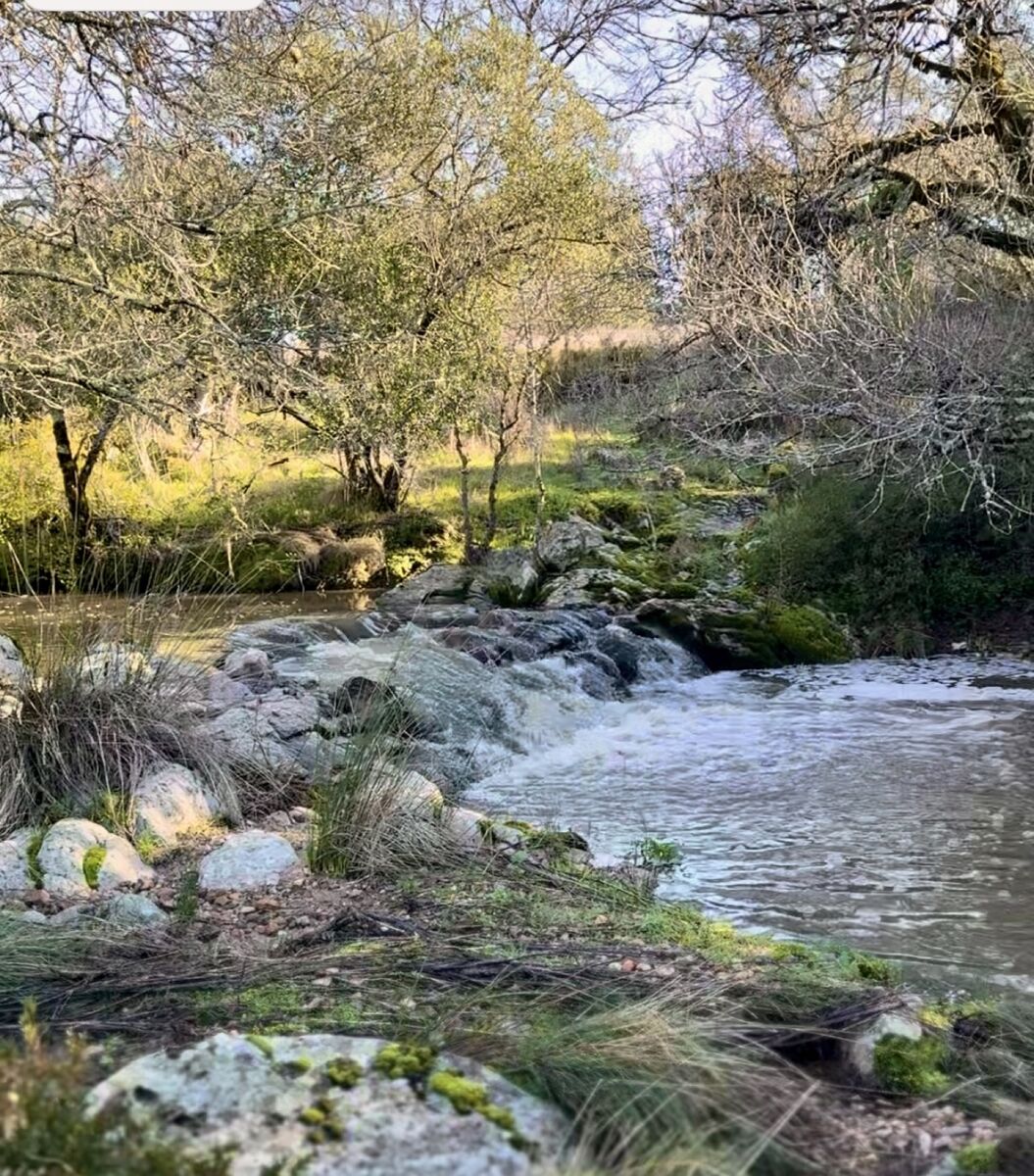 The stream flowing through the Neos land